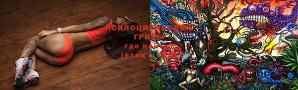 бошки Нягань