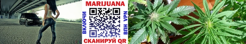 Купить  Астрахань  Бошки Шишки SATIVA & INDICA 